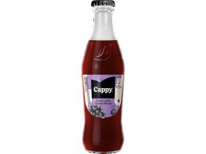 Cappy - černý rybíz - 0,25L