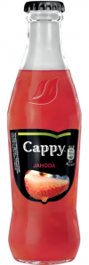 Cappy Jahoda, lahev 0,25l