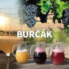 Moravský Burčák bílý 2l - č.š.290920